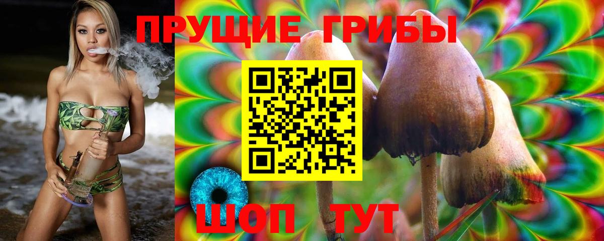 Галлюциногенные грибы Cubensis  Вход с VPN  Псилоцибиновые грибы Cubensis  Севастополь 