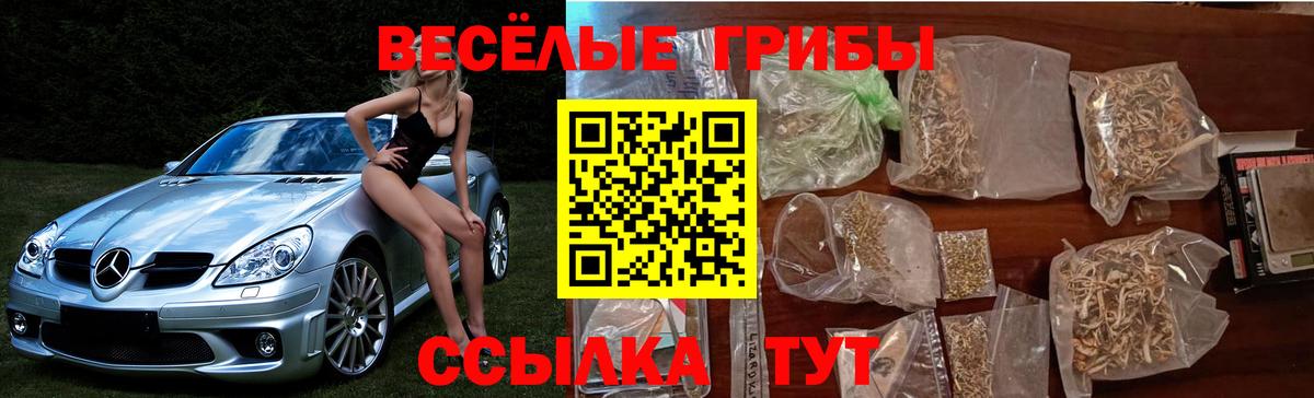 Галлюциногенные грибы Psilocybine cubensis Севастополь